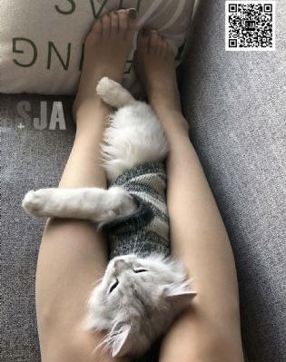 星辰大海40集免费观看_高清在线观看